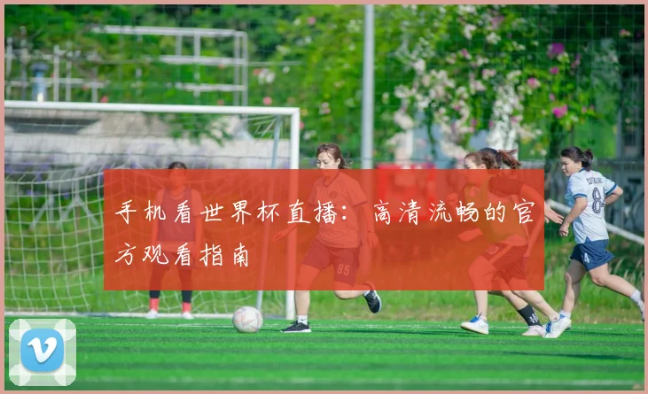 手机看世界杯直播：高清流畅的官方观看指南