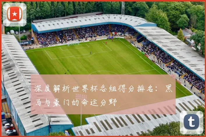 深度解析世界杯各组得分排名：黑马与豪门的命运分野
