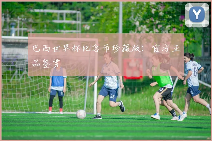 巴西世界杯纪念币珍藏版：官方正品鉴赏