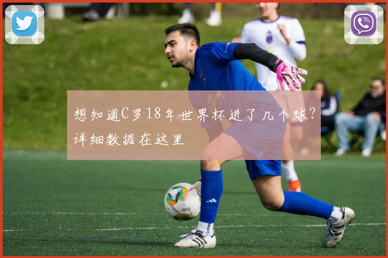 想知道C罗18年世界杯进了几个球？详细数据在这里