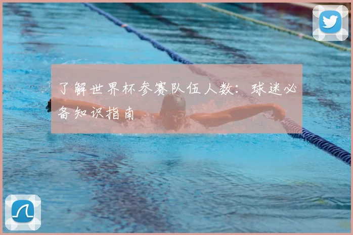 了解世界杯参赛队伍人数：球迷必备知识指南