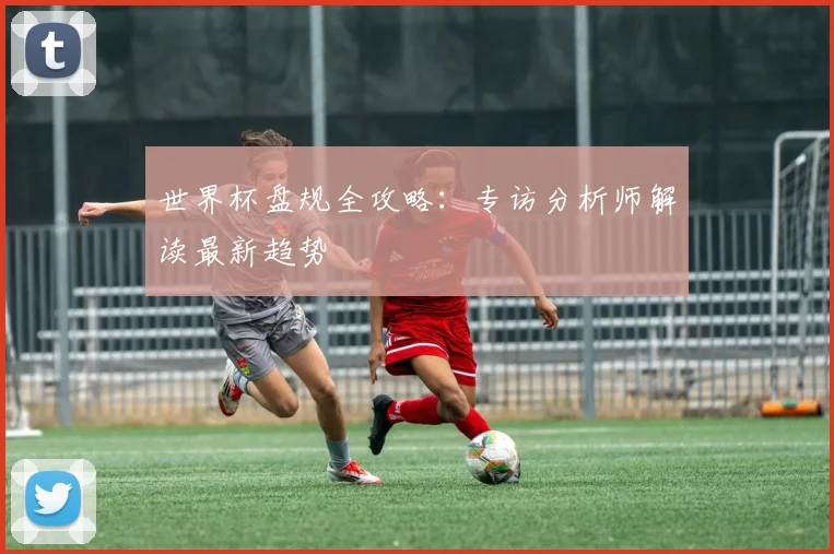 世界杯盘规全攻略：专访分析师解读最新趋势