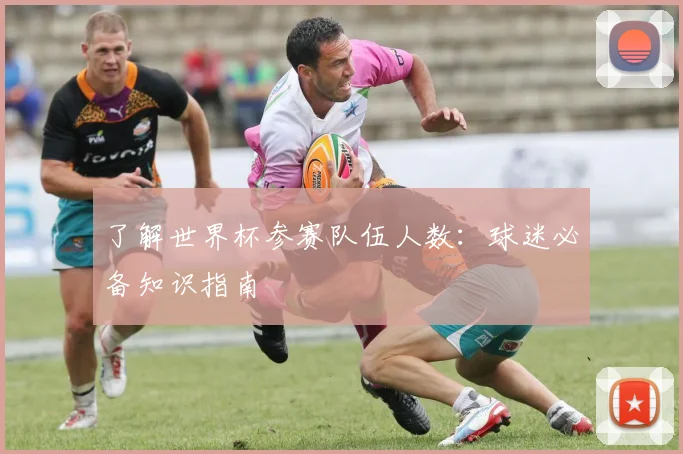 了解世界杯参赛队伍人数：球迷必备知识指南