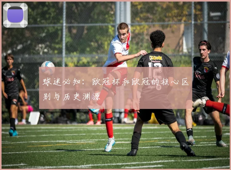 球迷必知：欧冠杯和欧冠的核心区别与历史渊源