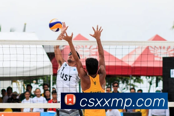 开云在线官方网站发展历程